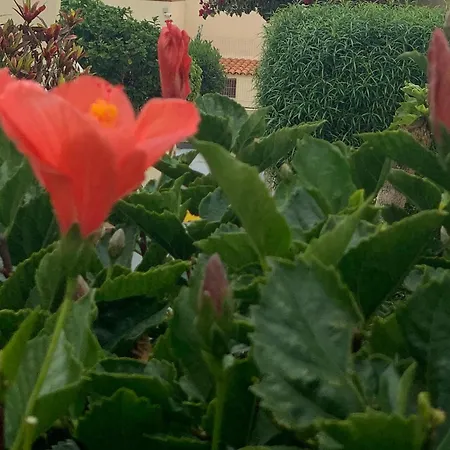 Apartamento Amazing One Bad El Duque *