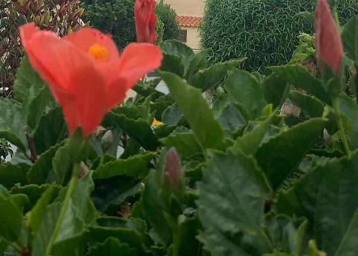 아파트 Amazing One Bad El Duque *